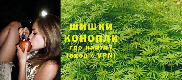 твердый Алексин