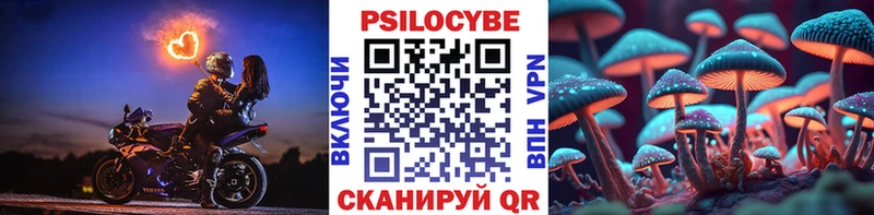 blacksprut рабочий сайт  Благовещенск  Псилоцибиновые грибы мицелий 